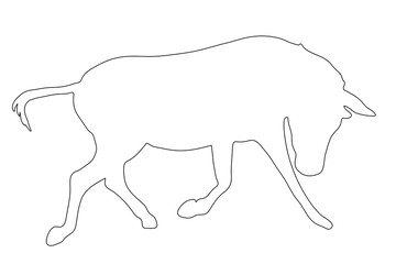 Outline of an african Zebra - digitally handdrawn illustration on white background