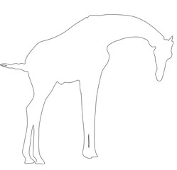 Outline of an african Giraffe - Digitally Hand Drawn Illustration