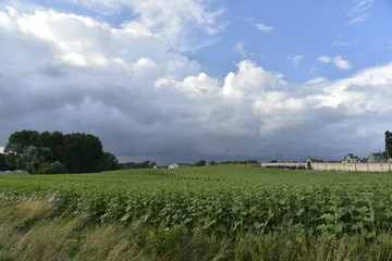 Fototapeta na wymiar Front orageux avec ligne de grains et trombes d'eau au loin ,près de Champagne au Périgord Vert