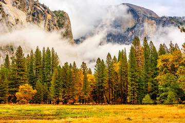Yosemite Valley at cloudy autumn morning - obrazy, fototapety, plakaty