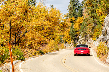 Red sport car on highway at autumn, Sequoia National Park.