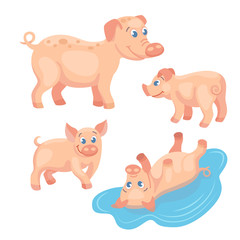 Adult pig with tree piglets on the white background / There are cute family of pigs on the white background. Pigs are in the different poses
