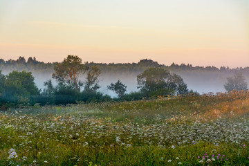 Fototapeta premium Summer dawn