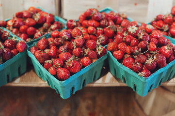 Small Fresh Red Strawberries for Sale