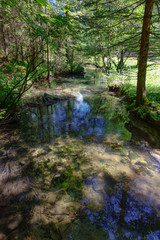 Crna spring in Logarska valley where the Savinja river originates