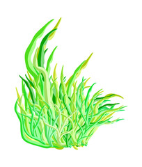 algae vector symbol icon design. Beautiful illustration isolated on white background