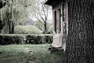 Haus am See 2
