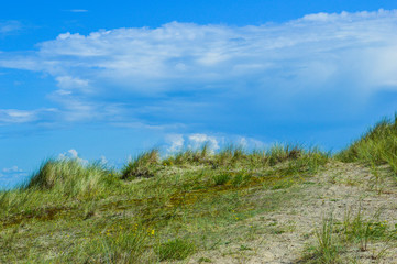 dunes