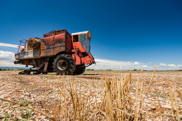 Fototapeta premium Accidental and burned tractor for grain processing