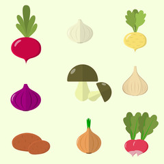 Set of vegetables. Organic vegetarian healthy food isolated on white background. Vector.