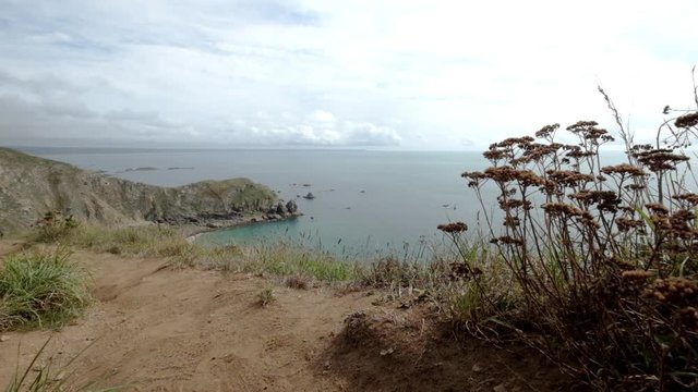 Goury coast with flowers and wind