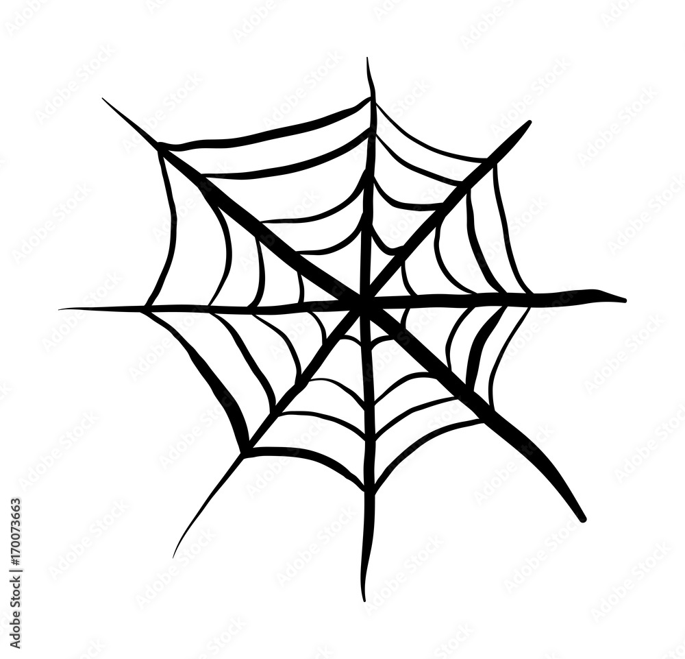 Canvas Prints spider web vector symbol icon design. Beautiful illustration isolated on white background