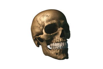 Human skull on Rich Colors a White Isolated background. The concept of death, horror. A symbol of spooky Halloween. 3d rendering illustration.