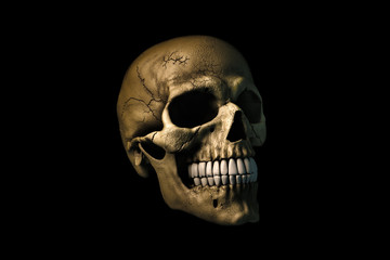 Human skull on Rich Colors a dark background. The concept of death, horror. A symbol of spooky Halloween. 3d rendering illustration.