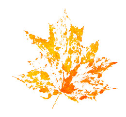 Autumn maple leaf. Drawing by paints. Element of design.