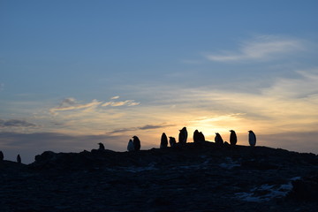 antartica © alvaroruiz.cl