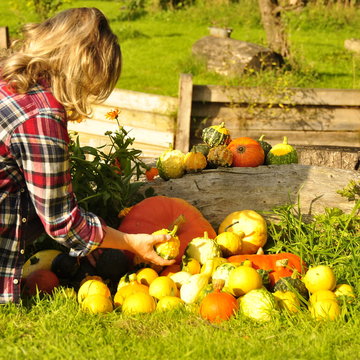 Courges , d&eacute;coration , jardin, femme 