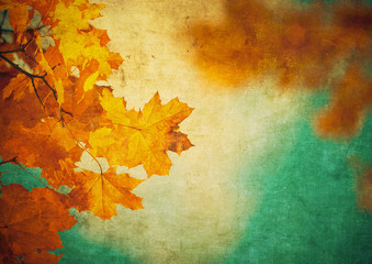 Naklejka na ściany i meble grunge background with autumn leaves
