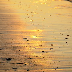 Plage, sable, lumière , lever du soleil