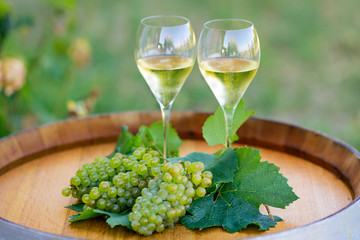 Tasty white wine on wooden barrel on grape plantation background