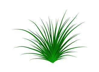 grass vector symbol icon design. Beautiful illustration isolated on white background