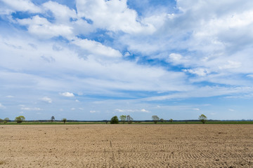 Fototapeta na wymiar Agricultural landscape, plowed field in seeding, clouds on the horizon. 