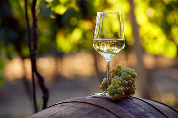 Un verre de vin blanc avec des raisins sur un tonneau