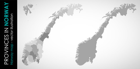 Vector map of Norway and provinces GRAY