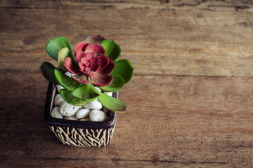 wood table with red flower on flower pot