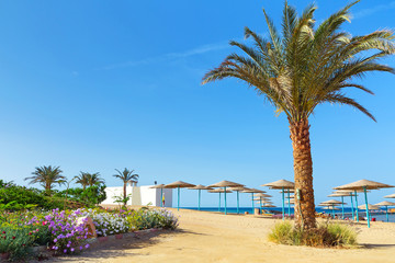Fototapeta na wymiar Egyptian beach at sunny day in Hurghada