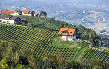 Fototapeta na wymiar Weinlandschaft, Österreich, Steiermark, Graz Umgebung, Südstei