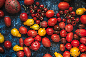 Different tomatoes harvest, top view
