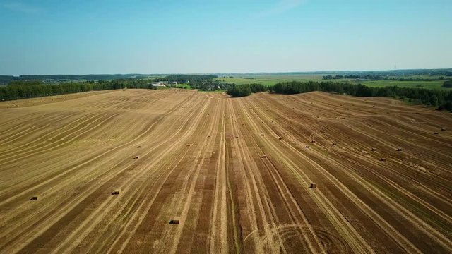 4K. Flight over cultivated fields with haystacks after harvesting. Aerial view.