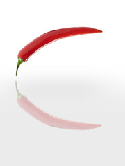 peperoncino riflesso