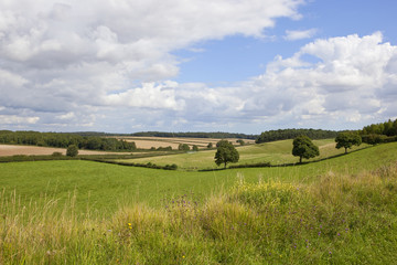 english landscape and wildflowers