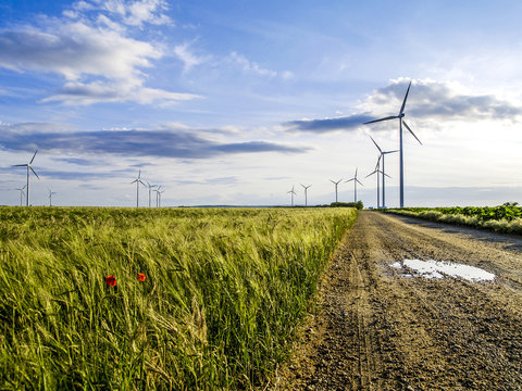 Windpark Parndorf, Feldweg, &Ouml;sterreich, Burgenland, Nordburgenl