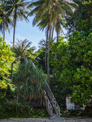 Fototapeta na wymiar Wooden down way stairs to the beach, with palms around. Naithon beach, Phuket, Thailand