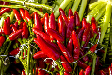 Chilischoten am Markt