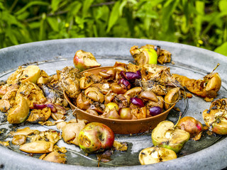 Verfaulendes Obst, Österreich, NIederösterreich, Waldviertel,