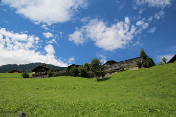 Obraz premium In Swiss mountains