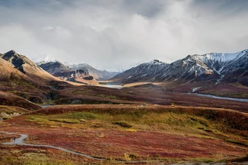 Fotobehang Fall color on the Alaska tundra with snowy mountains  © Elizabeth