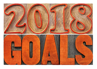 2018 goals banner in wood type