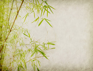 Obraz premium bambus na stary tło grunge tekstury papieru