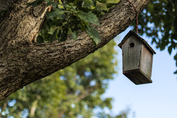 Birdhouse