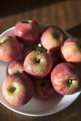 Red apples in a bowl are highlighted by the late afternoon sunshine.