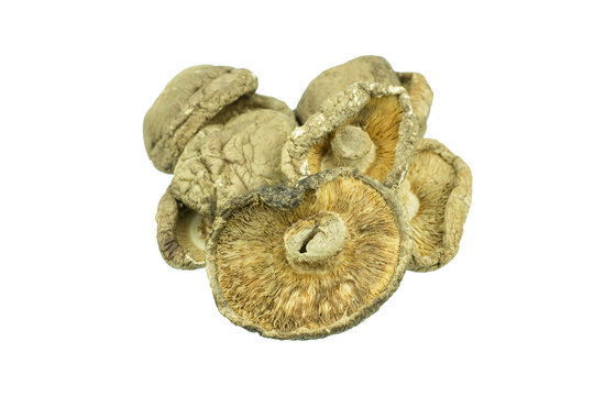 Dry Mushrooms isolated on white background
