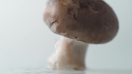Mushroom falling on water surface. Shot with high speed camera, phantom flex 4K. Slow Motion. - Powered by Adobe