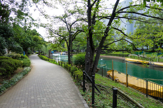 64 件の最適な 横十間川親水公園 画像 ストック写真 ベクター Adobe Stock