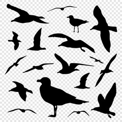 Obraz premium Black silhouette set of seagull on transparent background vector