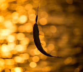 a fish on a lure at sunset